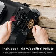 Ninja Woodfire Outdoor Grill
