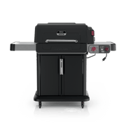 Ninja™ FlexFlame™ Grill and Smoker in Green